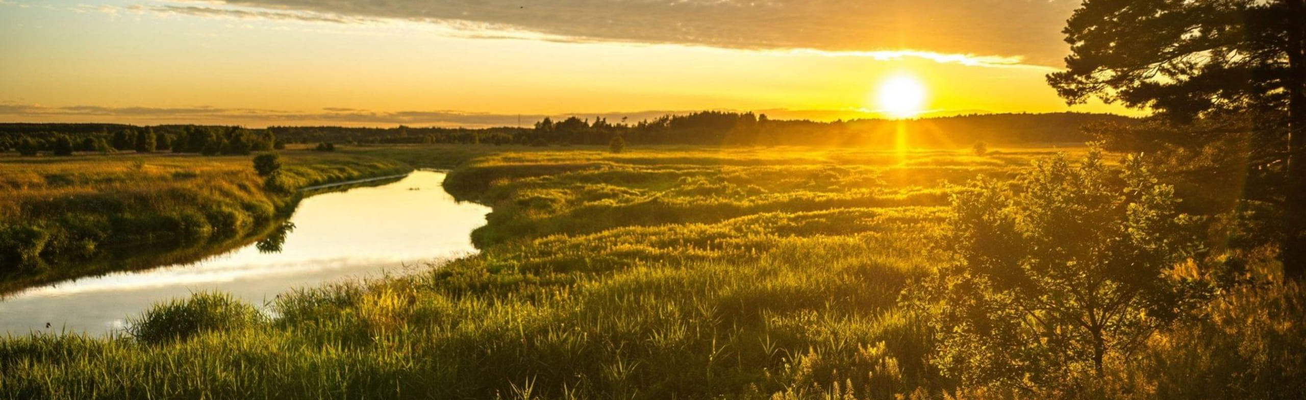 Мой дом, моя Россия, моя земля! Викторина