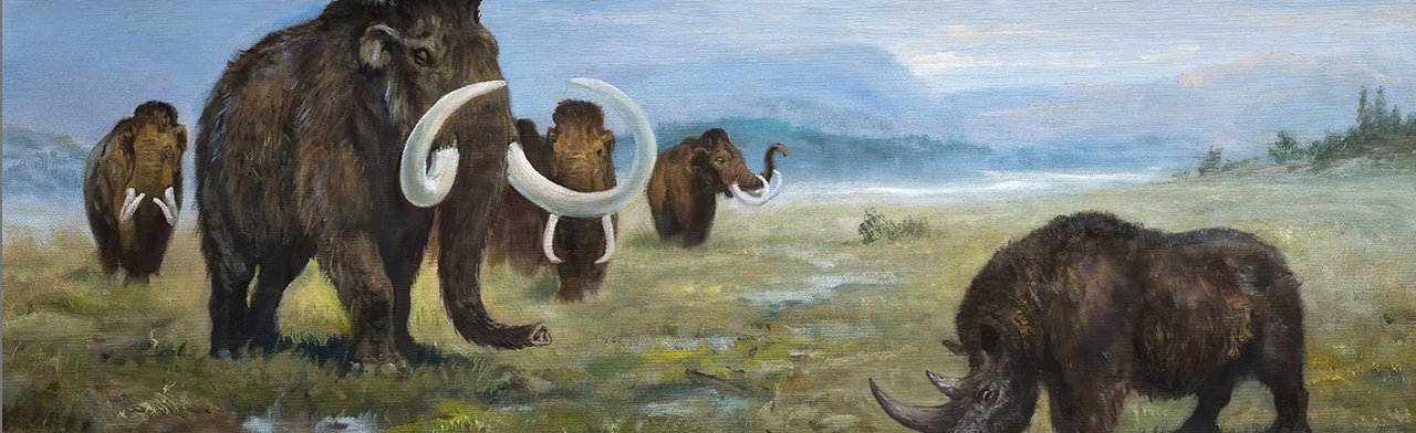 Палеонтология Дона. Выставка