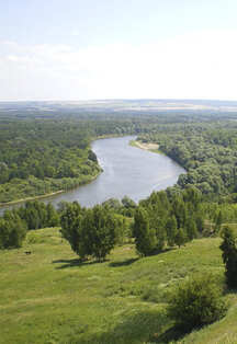 В родных местах