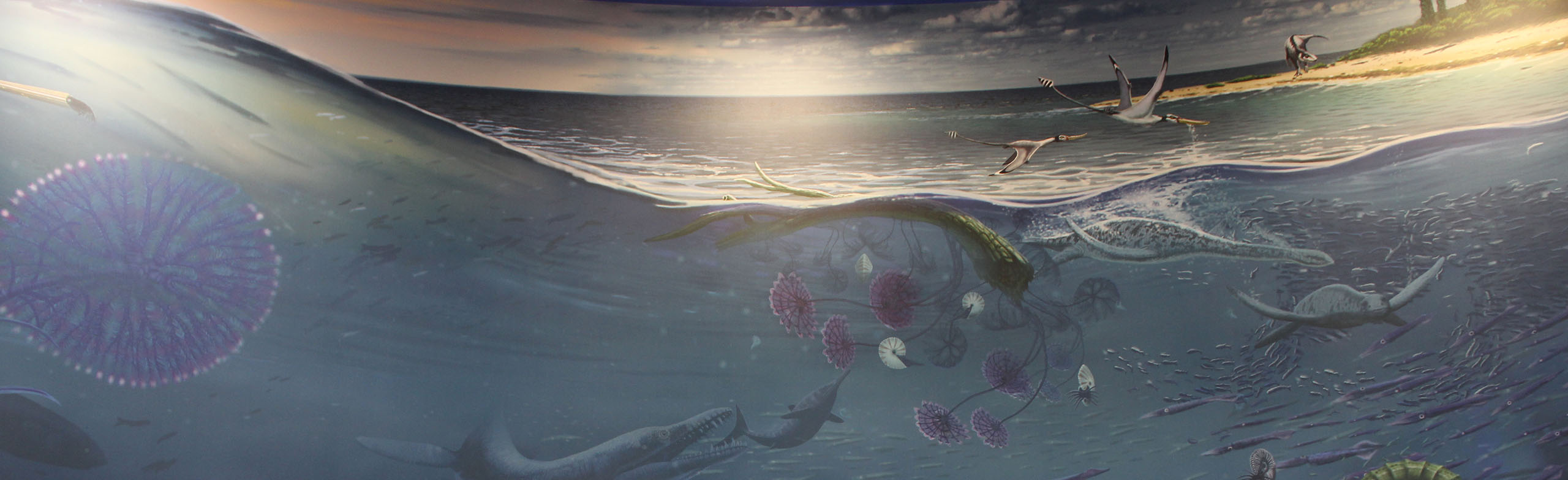 Постер Образование осенью в Саранске