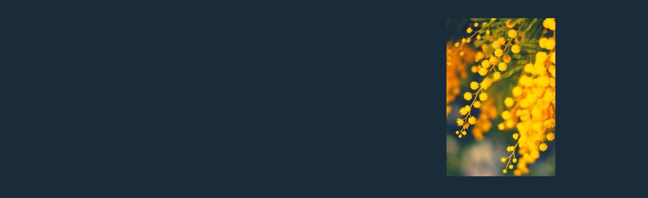 Постер Куда сходить с семьей в Смоленске