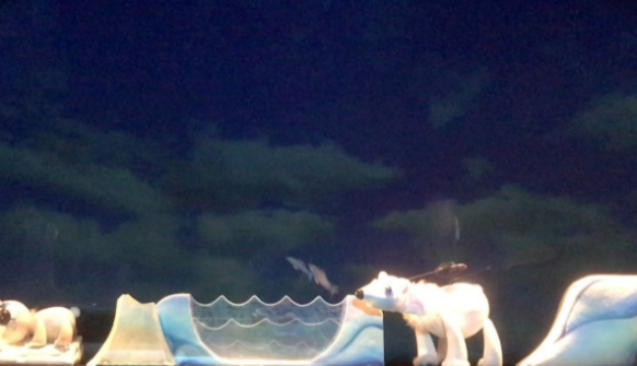 smr/gallery/4b/4bbb9b98a2c2e98a313b34fa50551341.png