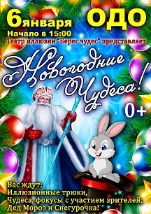 Иллюзион-шоу «Новогодние чудеса» Фото афиши Иллюзион-шоу «Новогодние чудеса»