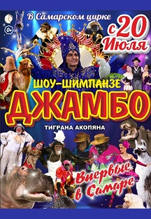 Джамбо. Шоу шимпанзе Джамбо. Шоу шимпанзе