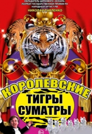 Королевские тигры Суматры Королевские тигры Суматры