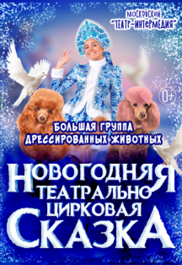 Новогодняя театрально-цирковая программа Новогодняя театрально-цирковая программа