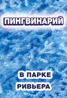 Пингвинарий Фото афиши Пингвинарий