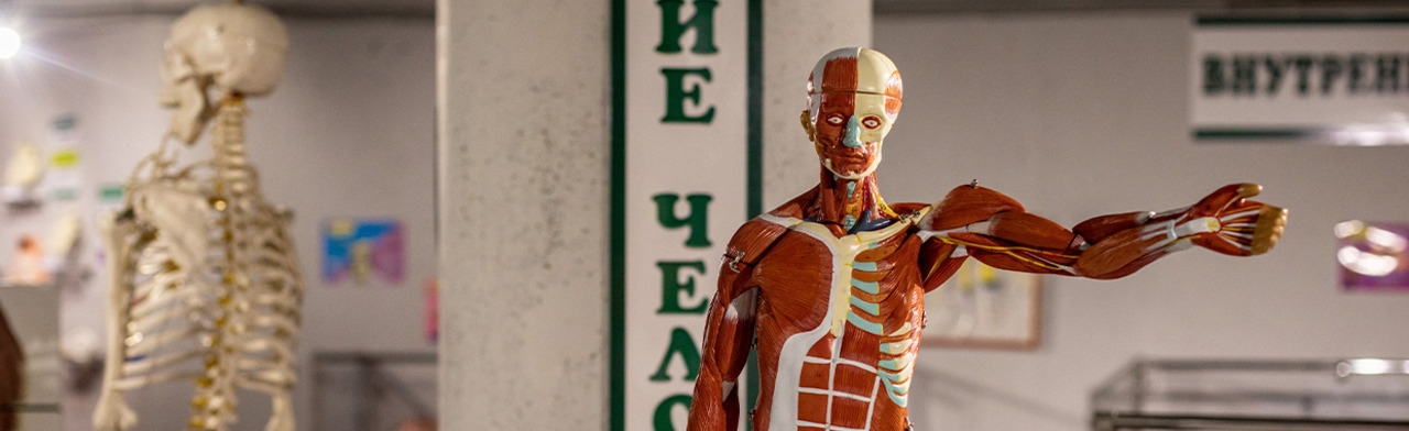 Внутри человека