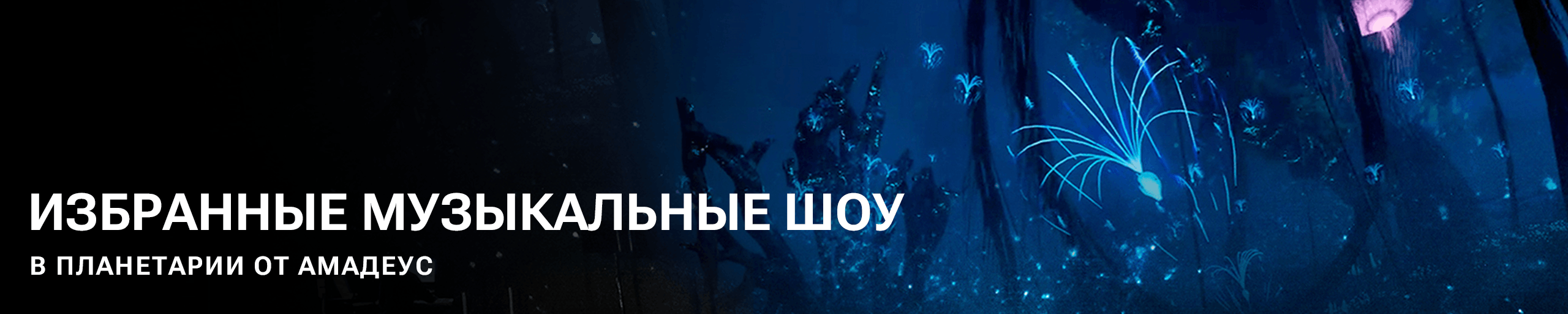 Концерты в Планетарии Лобов