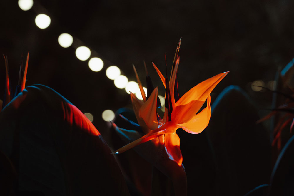 spb/gallery/5b/5b45c31ceadbea92db9cf94cc90ac7ab.JPG
