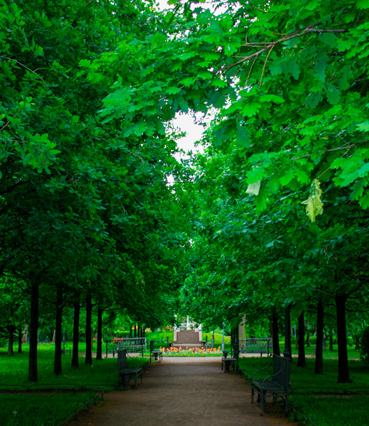 spb/gallery/66/6685403d2bcd0c1bf520a5aeea4677f9.jpg