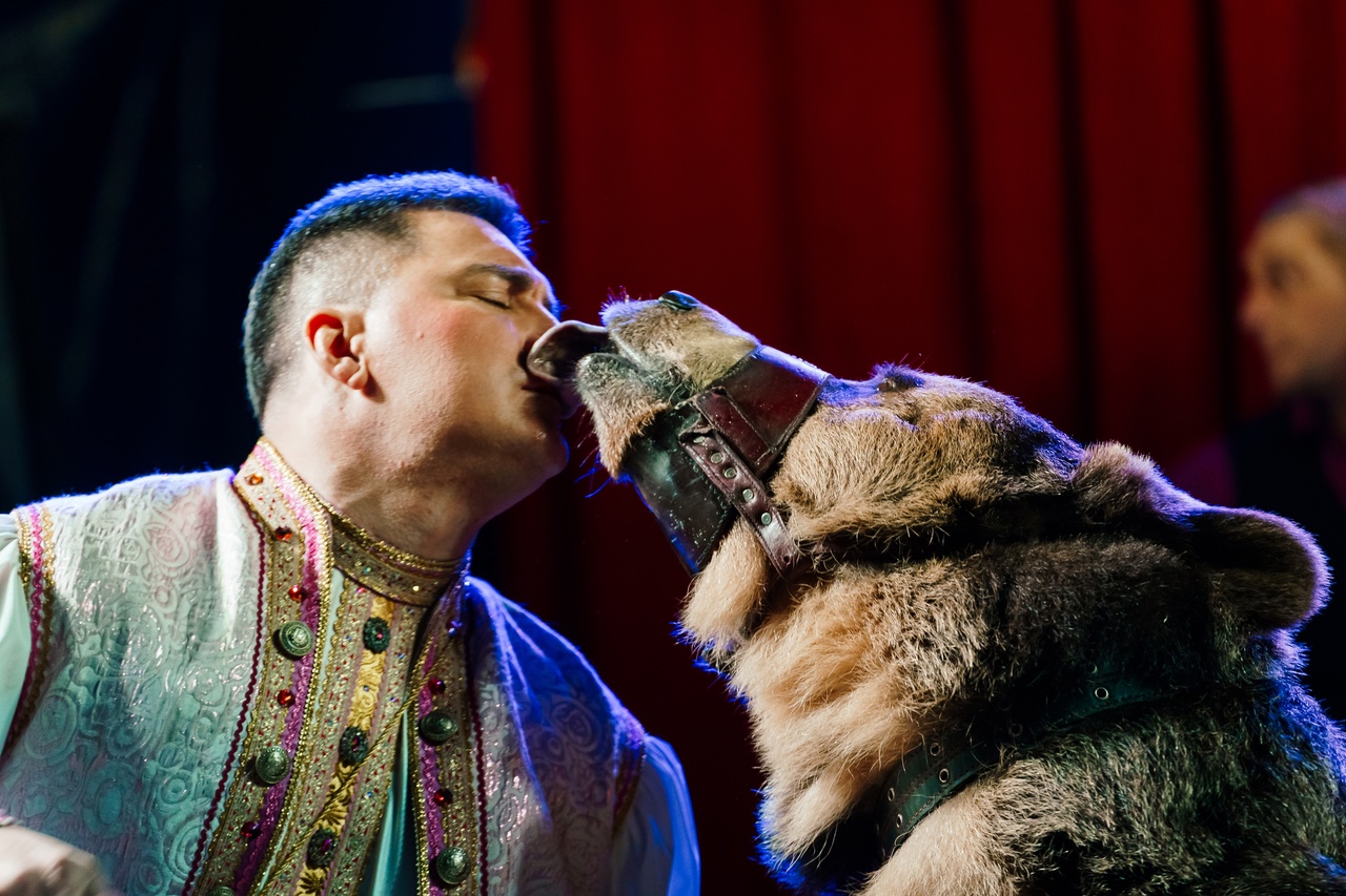 spb/gallery/7e/7e46175567060336df9b96a7cd61d87f.jpg