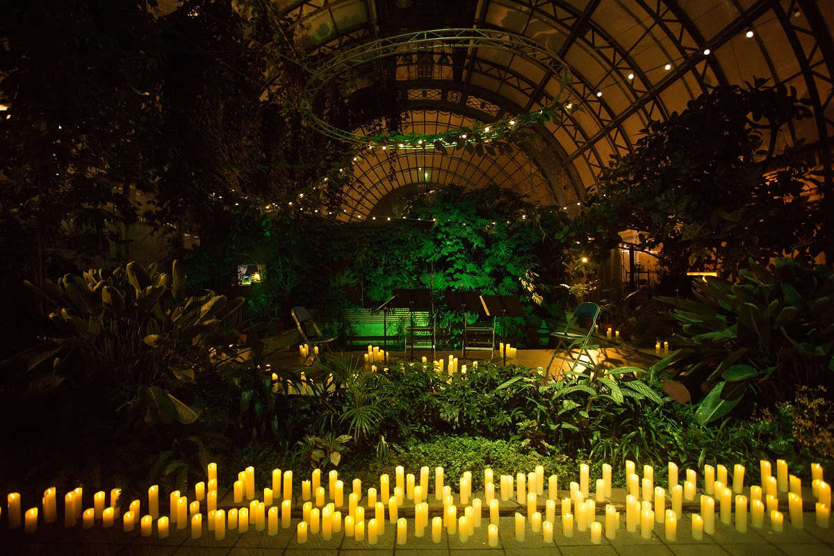 spb/gallery/9e/9eb2697b63672900340f7de09465aa00.jpg