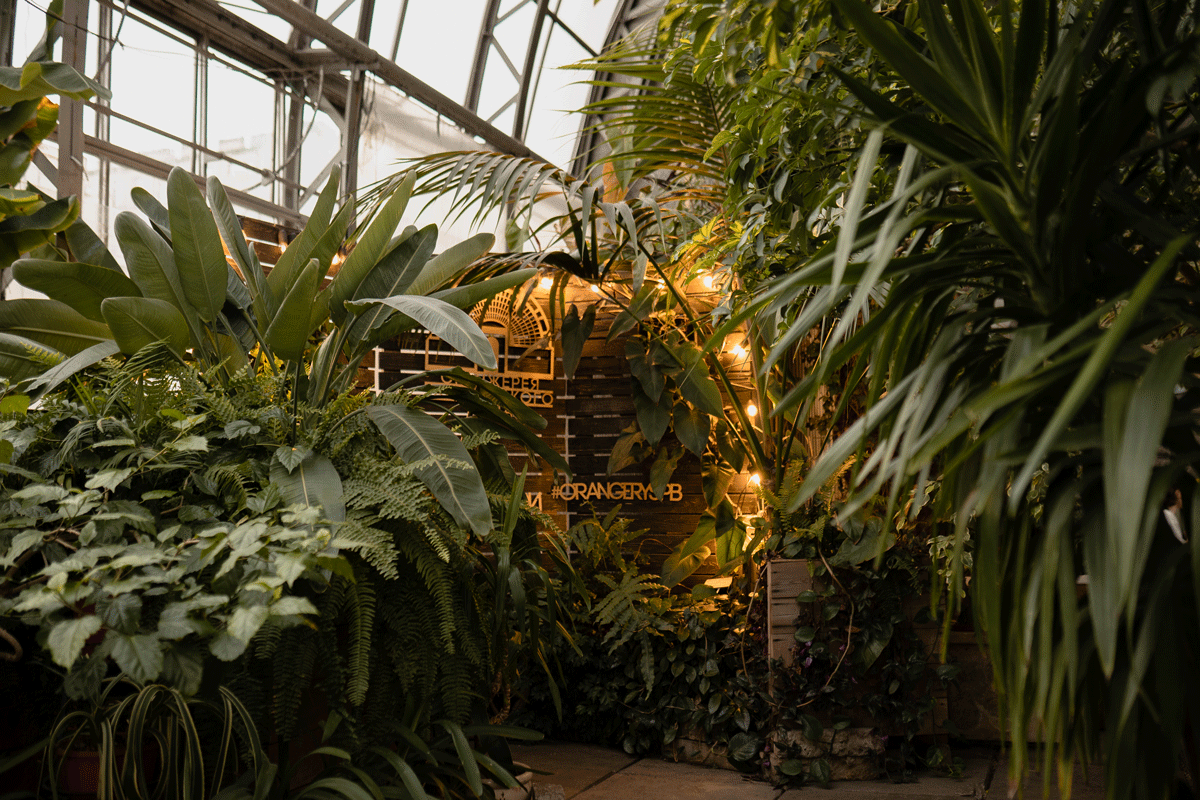 spb/gallery/a0/a0e2daf58c5d69cff0baef0cd476bb91.gif