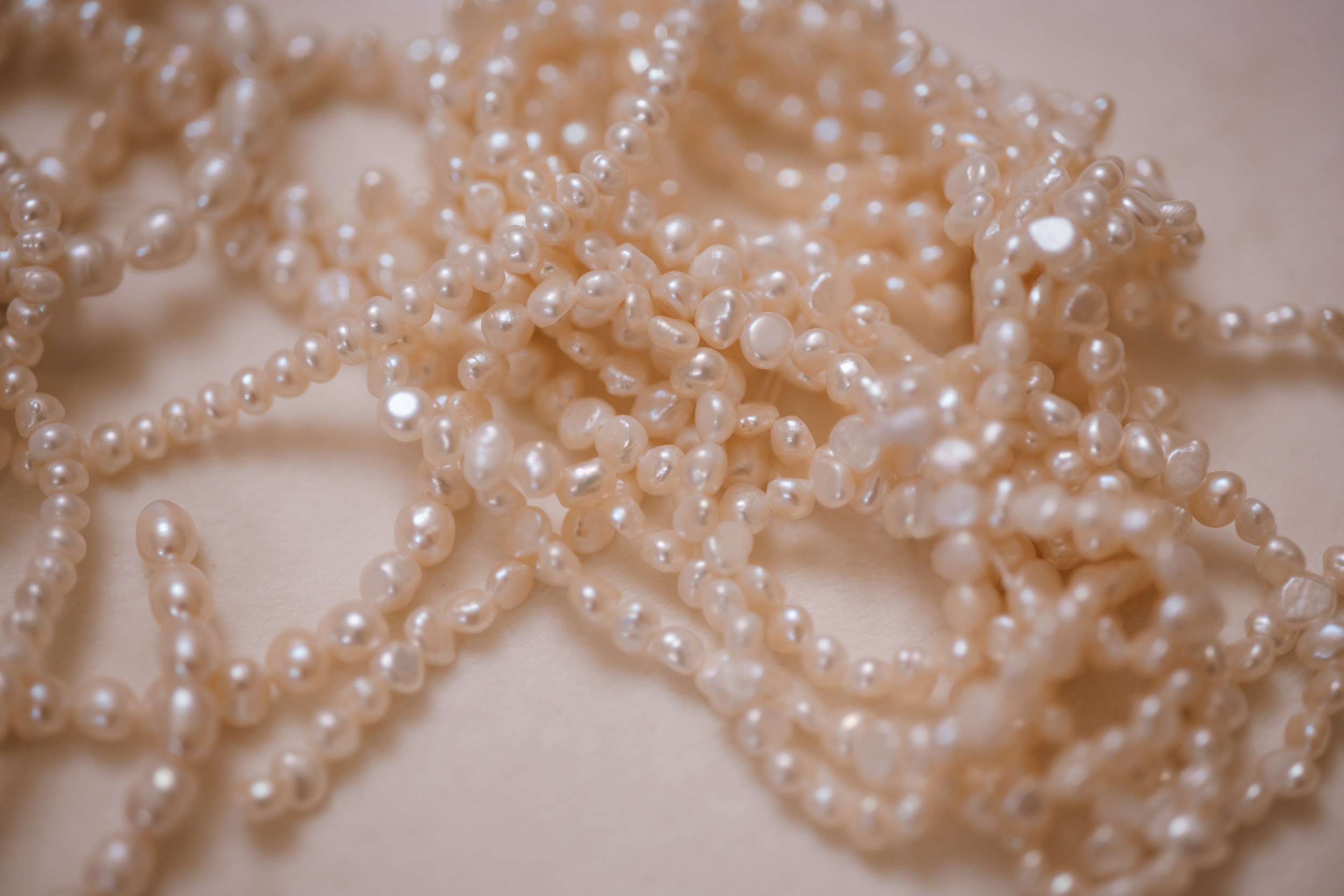 spb/gallery/b3/b3ec3ccca3c6041222f08dfb405e0a8e.JPG