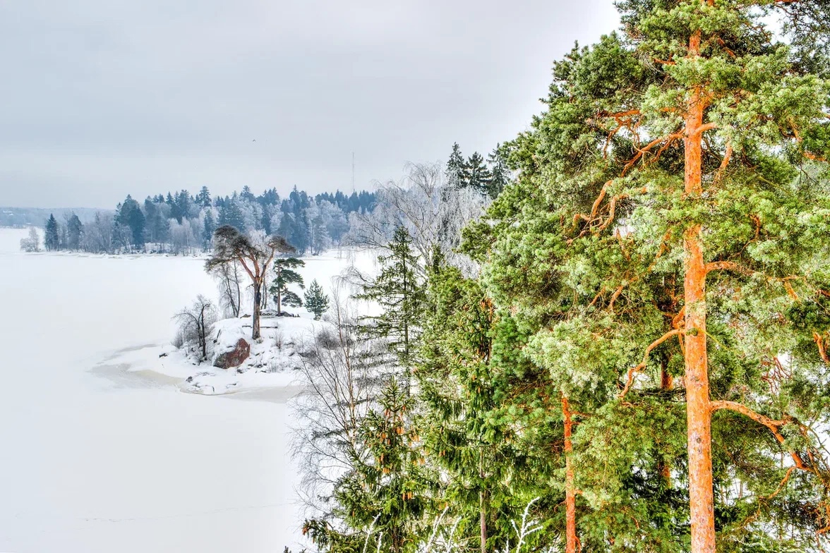 spb/gallery/b8/b87226c328d4a6f5cf552f0ec4786682.jpg
