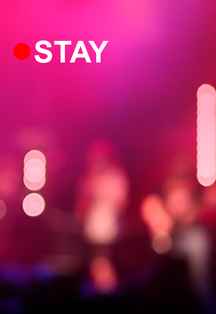 STAY: Концерты STAY: Концерты