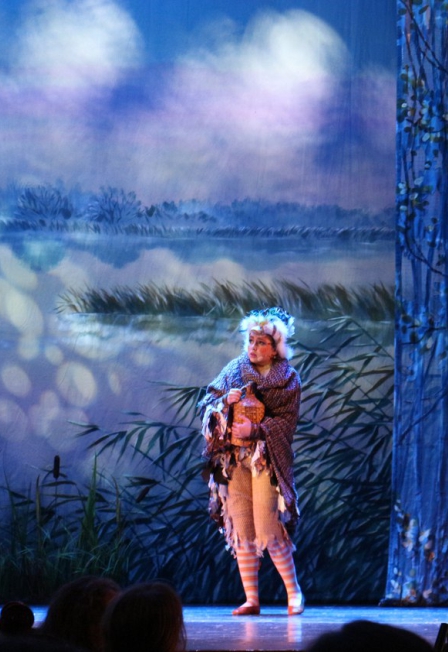 Гадкий утёнок