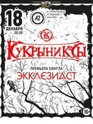 концерт гр. "Кукрыниксы"