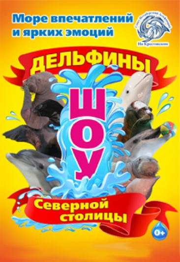 Дельфины Северной Столицы Дельфины Северной Столицы