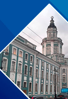 Обзорная по городу с посещением Кунсткамеры