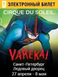 Varekai Cirque du Soleil