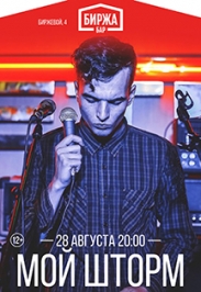 Мой Шторм