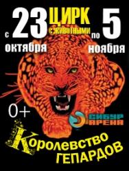 Цирковое представление "Королевство Гепардов" Цирковое представление "Королевство Гепардов"