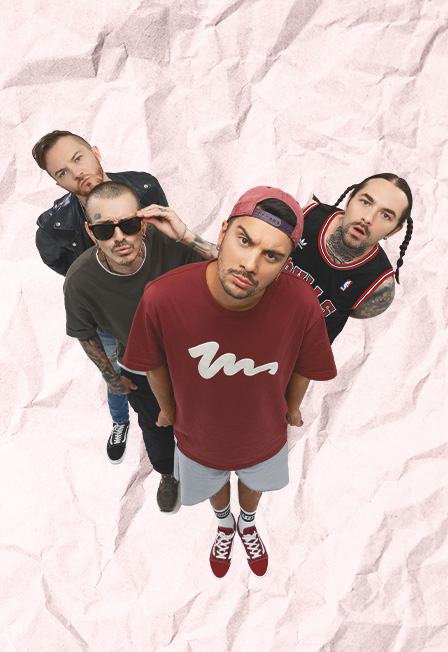 ROCK PRIVET НА ROOF PLACE