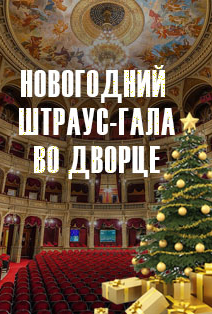 Концерт Новогодний Штраус-гала во дворце
