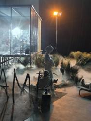 Swamp club