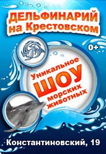 Морское шоу Морское шоу