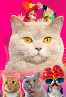 Фото афиши Московский театр кошек В. Куклачёва премьера - Танцующие Кошки