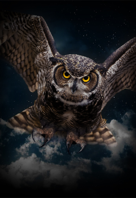 Постер события Концерт «Magic Music of Harry Potter».