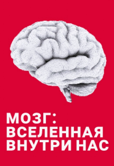 Мозг: Вселенная внутри нас