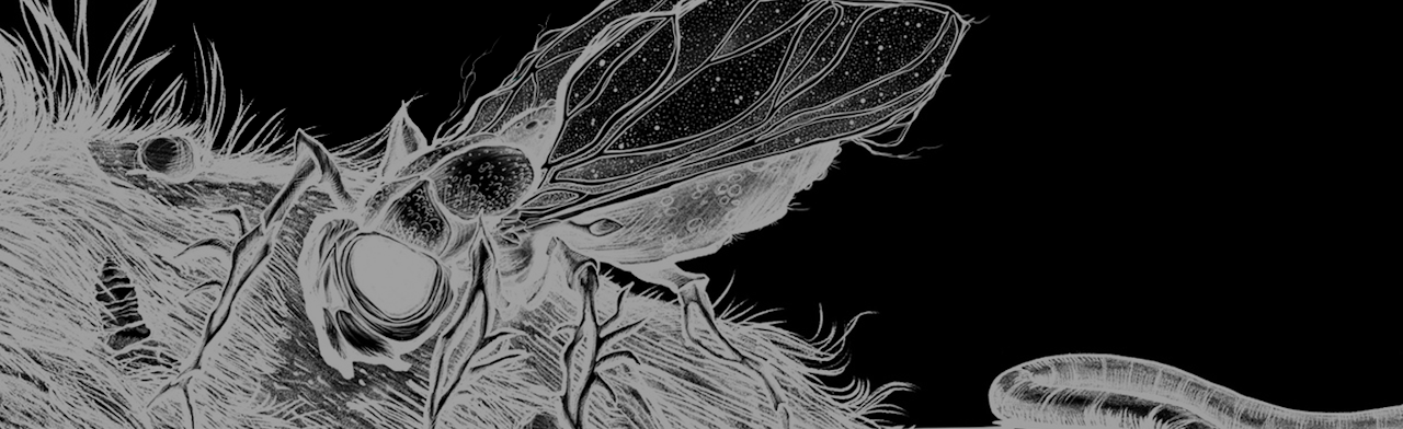 ЗЛО • 5 лет альбому «Зачеркни моё имя» Фото афиши ЗЛО • 5 лет альбому «Зачеркни моё имя».
