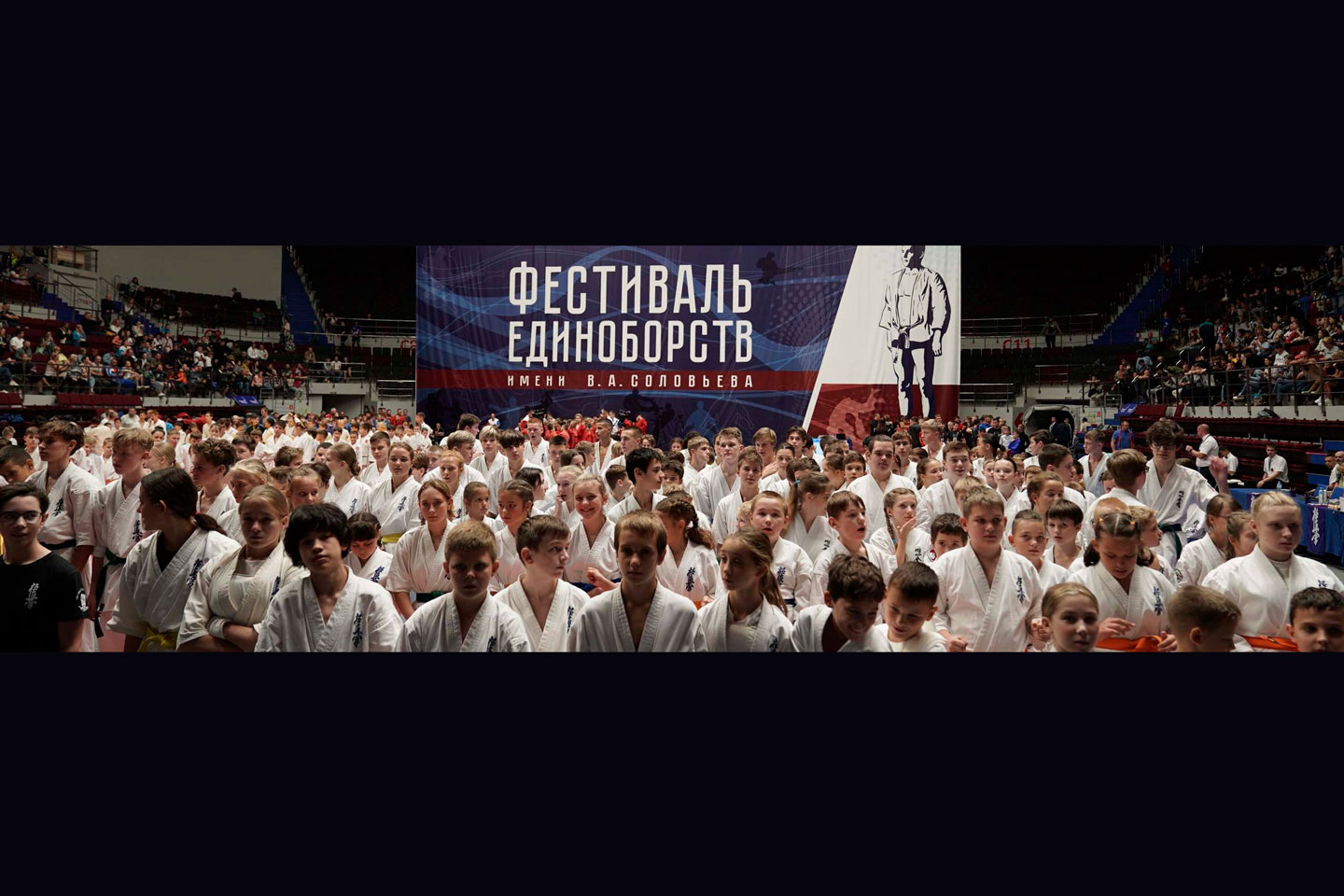 Фото афиши Фестиваль единоборств - Турнир имени В.А.Соловьева.