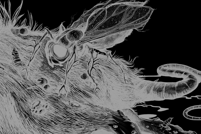 ЗЛО • 5 лет альбому «Зачеркни моё имя» Фото афиши ЗЛО • 5 лет альбому «Зачеркни моё имя».
