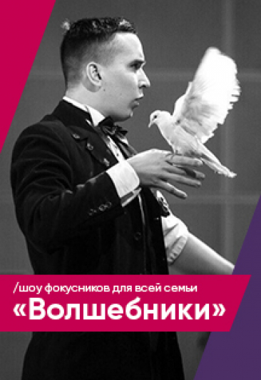 Волшебники
