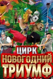 Новогодний Цирк Триумф Новогодний Цирк Триумф