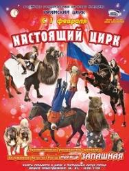 Настоящий цирк