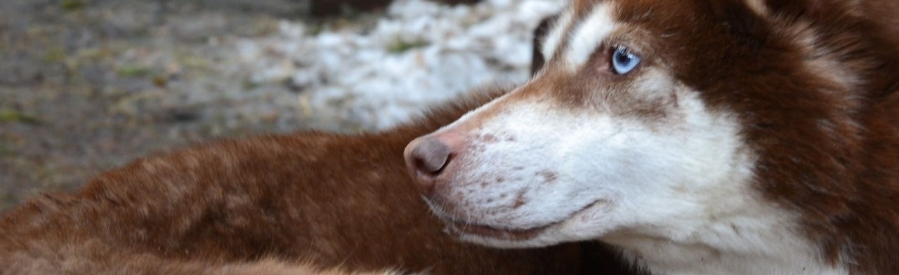 Постер Дни театра в Уфе