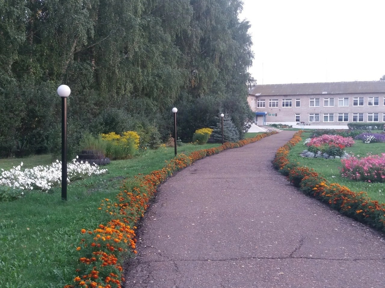 МОБУ СОШ с. Сихонкино* Фото афиши МОБУ СОШ с. Сихонкино*.