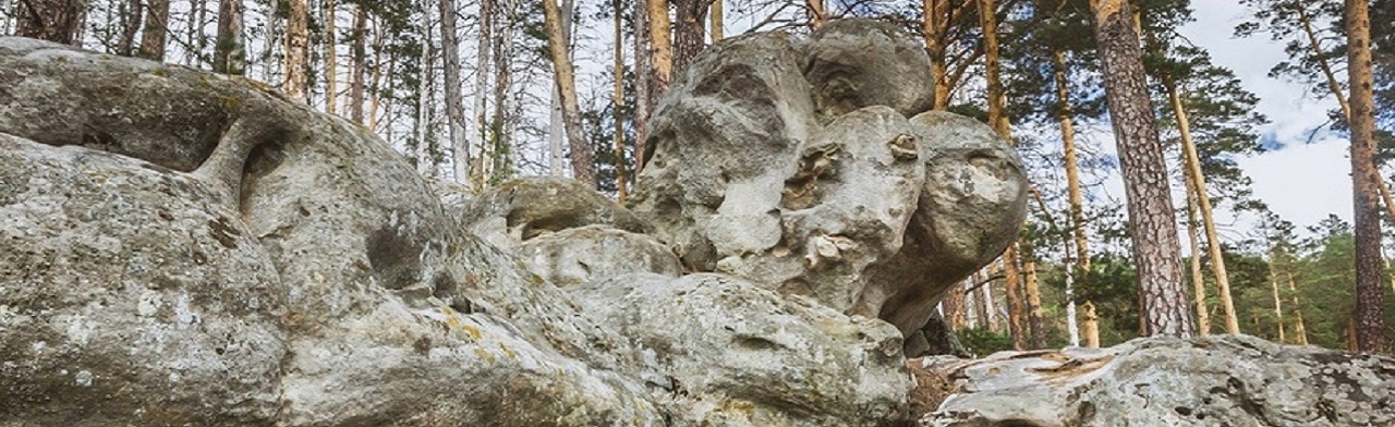 Экскурсия в Рачейские Альпы Фото афиши Экскурсия в Рачейские Альпы.
