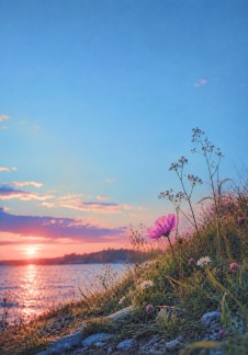 Уходит Лето….