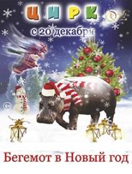 ЦИРК "Бегемот в Новый год" ЦИРК "Бегемот в Новый год"