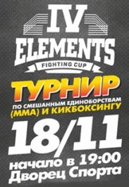 Турнир по смешанным единоборствам (ММА и Кикбоксингу)