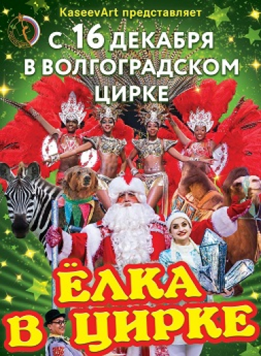 ЕЛКА В ЦИРКЕ!