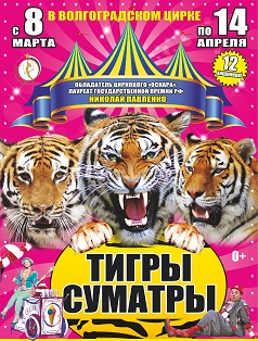 Цирк "Королевские тигры Суматры" Цирк "Королевские тигры Суматры"