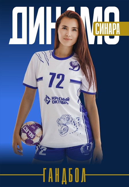 Динамо-Синара VS Ростов-Дон (г. Ростов-на-Дону).
